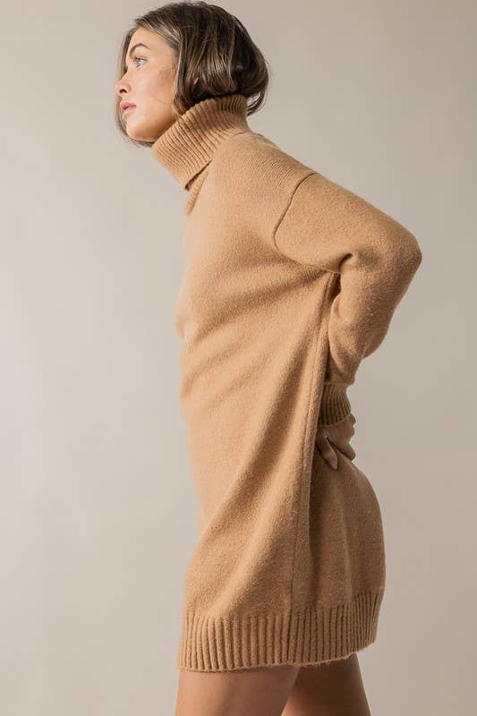 THICK TURTLENECK LOOSE FIT KNIT SWEATER DRESS