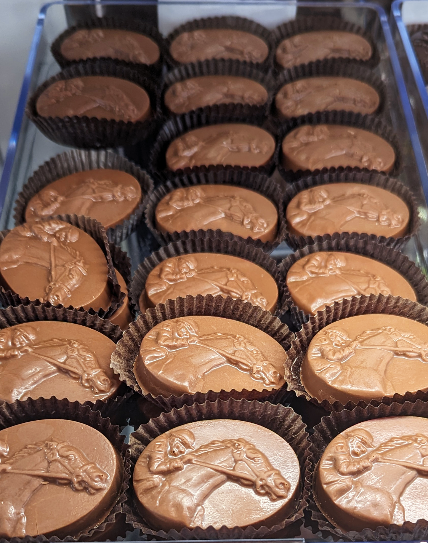 Harbor Sweets Chocolates - Milk Chocolate Peanut Butter Sea Biscuits Gable Box