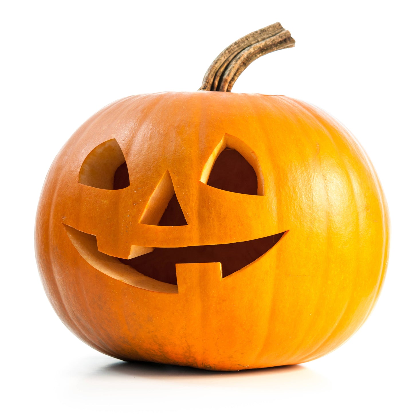 Bentley Seed Co. - Happy Halloween Jack O'Lantern - Spookie Pumpkin Seed Packet