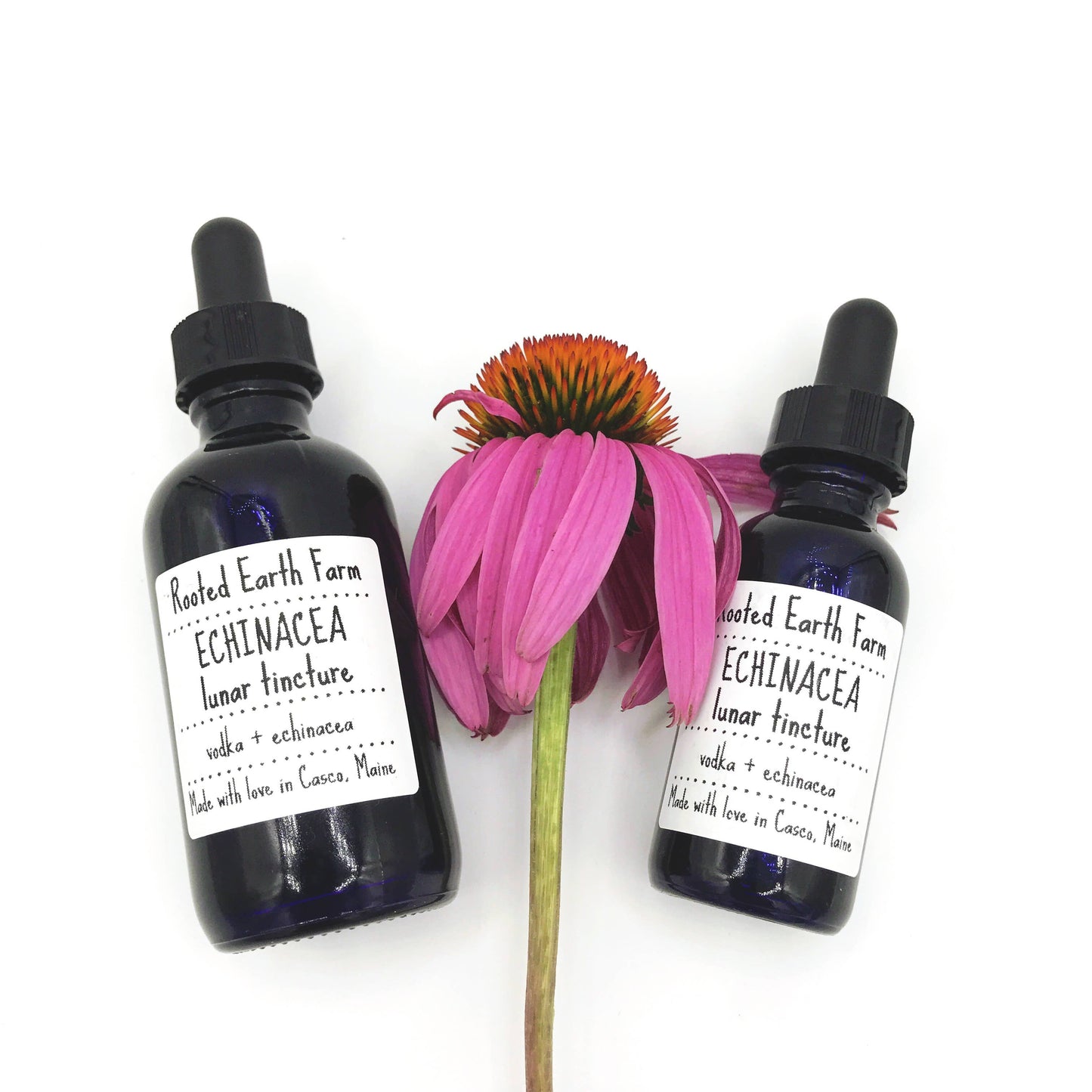 Rooted Earth Farm + Apothecary - Echinacea Tincture - 2 Size Options