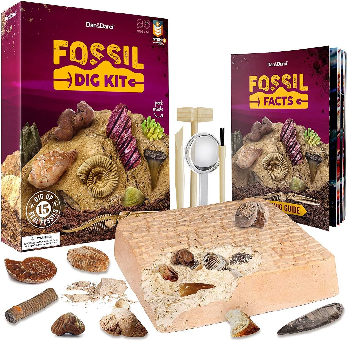 Dan&Darci - Mega Fossil Dig Kit
