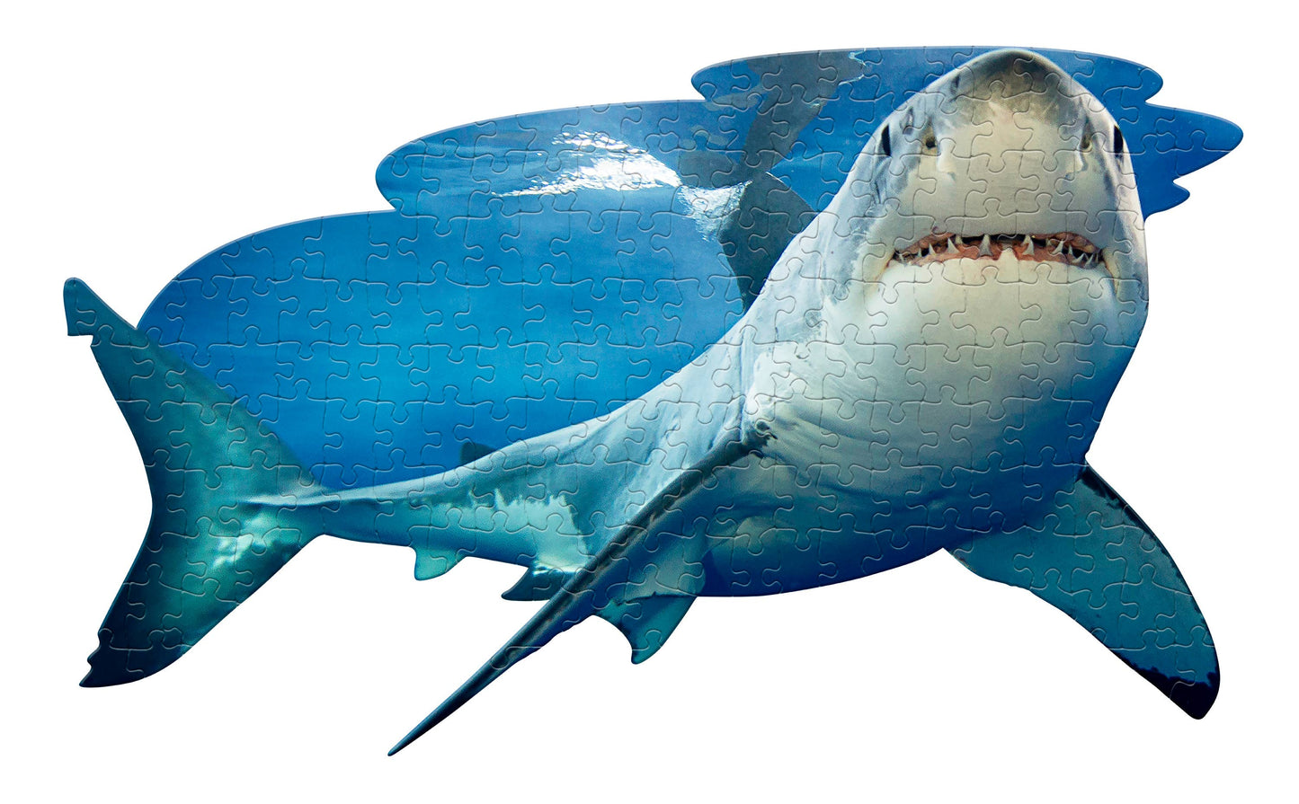 Madd Capp Games & Puzzles - PUZZLE DISPLAY - Lil Shark 100pc