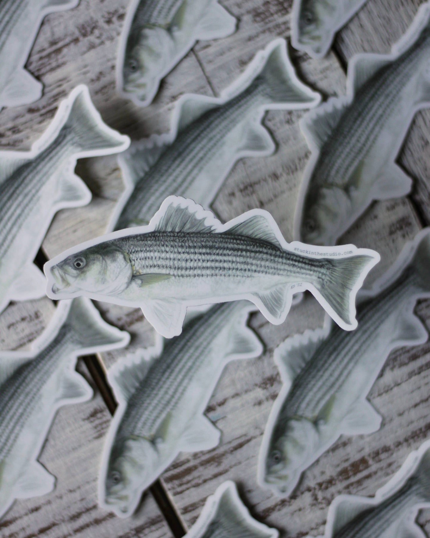 stück in the studio - striped bass - sticker