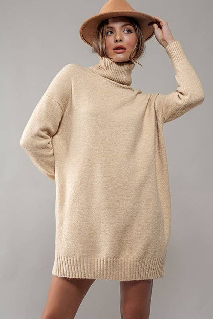 THICK TURTLENECK LOOSE FIT KNIT SWEATER DRESS