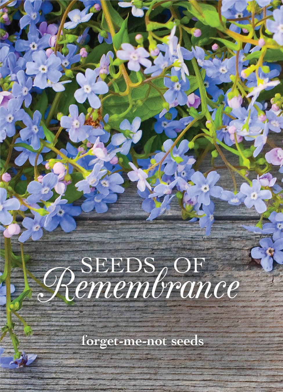 Bentley Seed Co. - Seeds of Remembrance Memorial - Forget Me Not Seed Packets