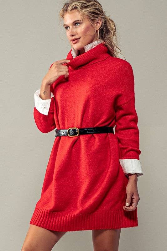 THICK TURTLENECK LOOSE FIT KNIT SWEATER DRESS