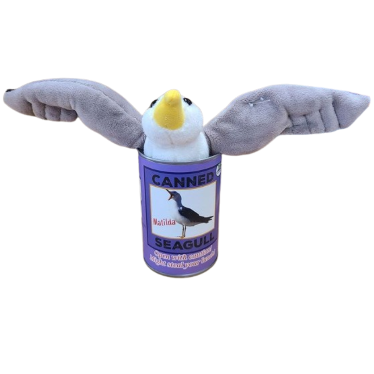 Canned Gifts - Matilda the Canned Seagull - Eco-Friendly and Recycled Gift