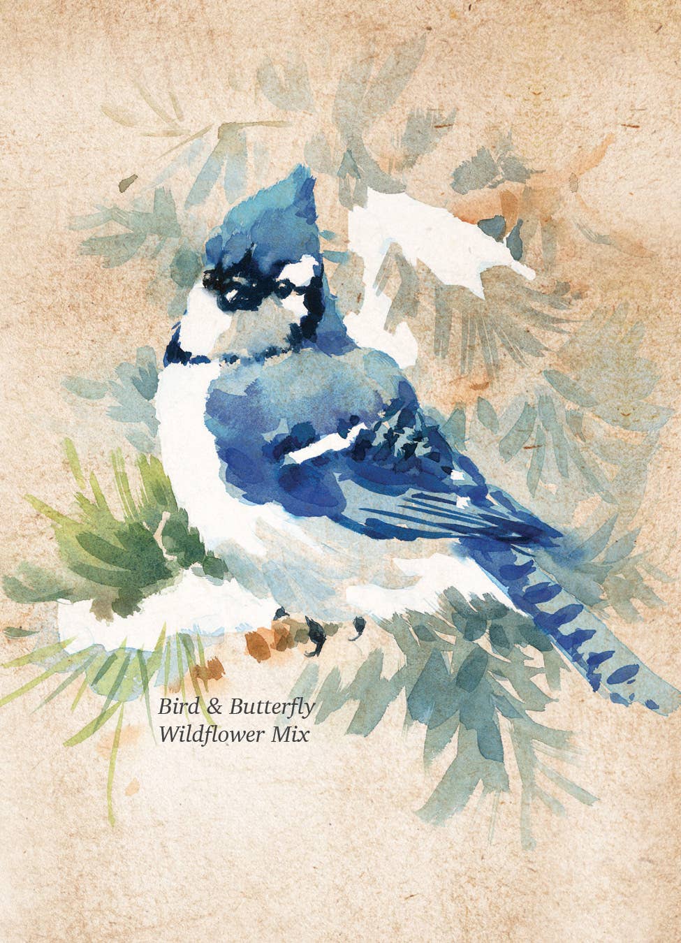 Bentley Seed Co. - Snowy Blue Jay Happy Holidays Gift Tag Card - Seed Packets