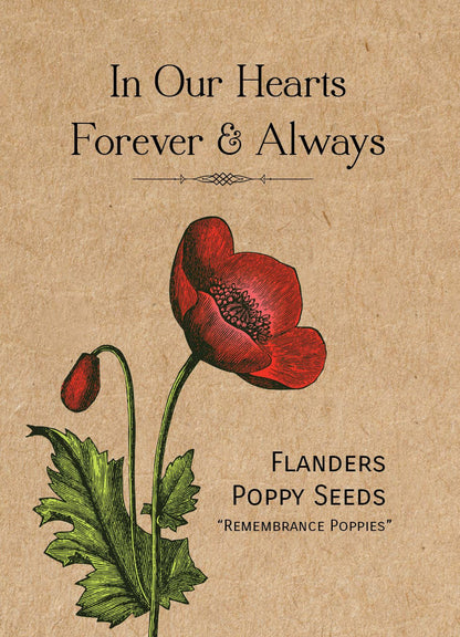 Bentley Seed Co. - In Our Hearts Remembrance Memorial - Flanders Poppy