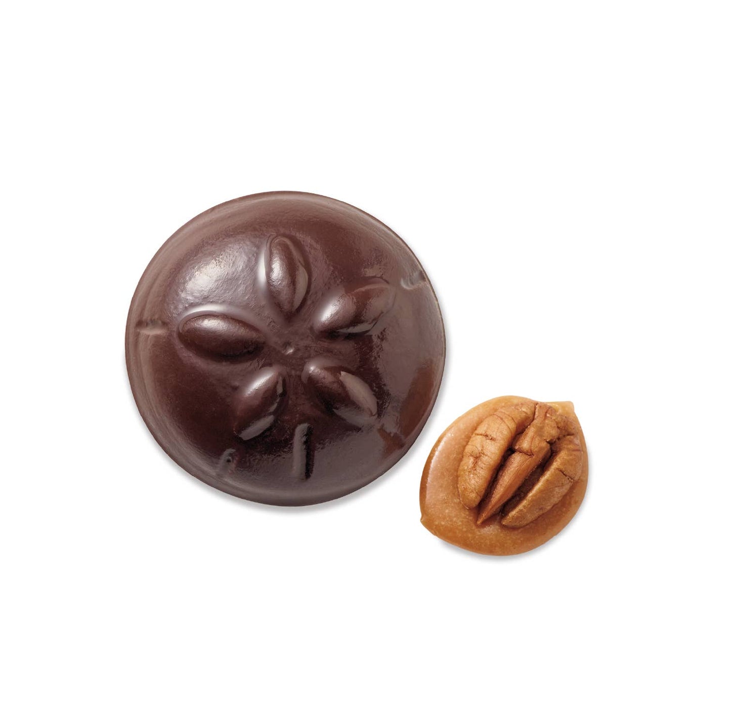 Harbor Sweets - Harbor Sweets Chocolate 45 Pcs Sand Dollars Bulk box foiled