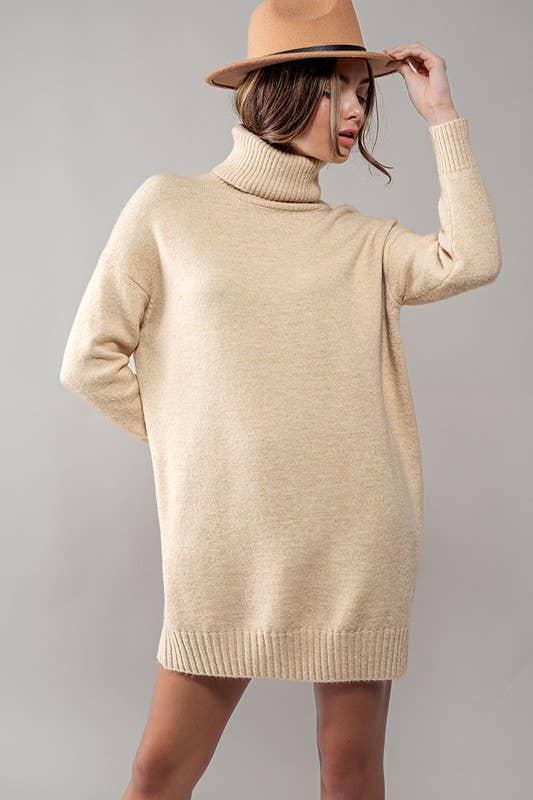 THICK TURTLENECK LOOSE FIT KNIT SWEATER DRESS