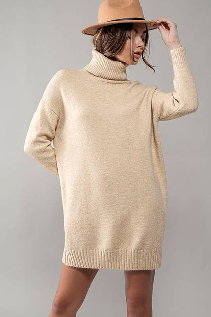 THICK TURTLENECK LOOSE FIT KNIT SWEATER DRESS