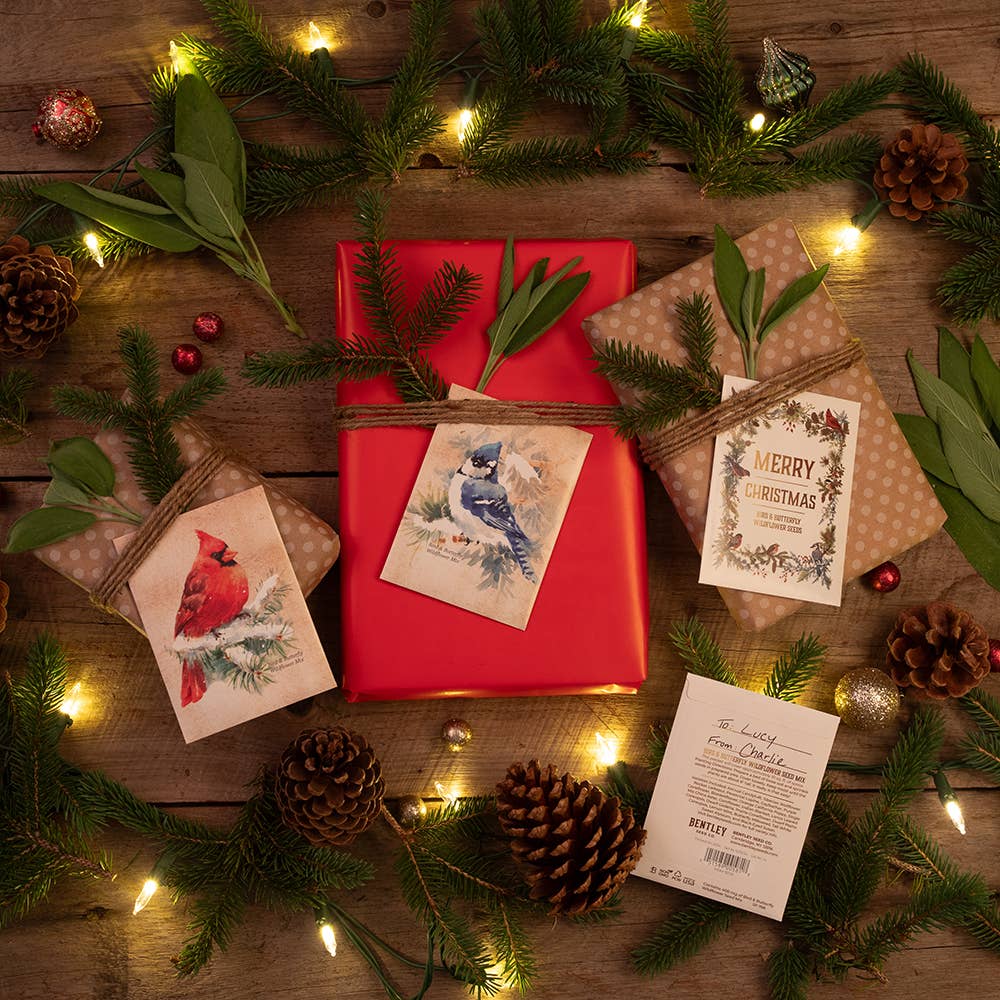 Bentley Seed Co. - Snowy Blue Jay Happy Holidays Gift Tag Card - Seed Packets
