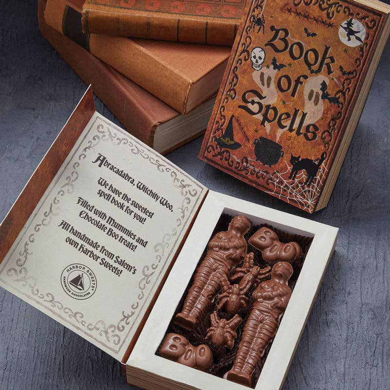 Harbor Sweets Chocolates - Chocolate Book of Spells - 18 pc