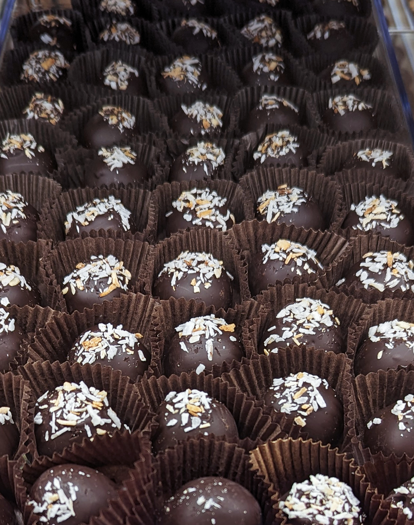 Harbor Sweets - Gather Chocolates 45 individual pc. bulk Coconut Cluster