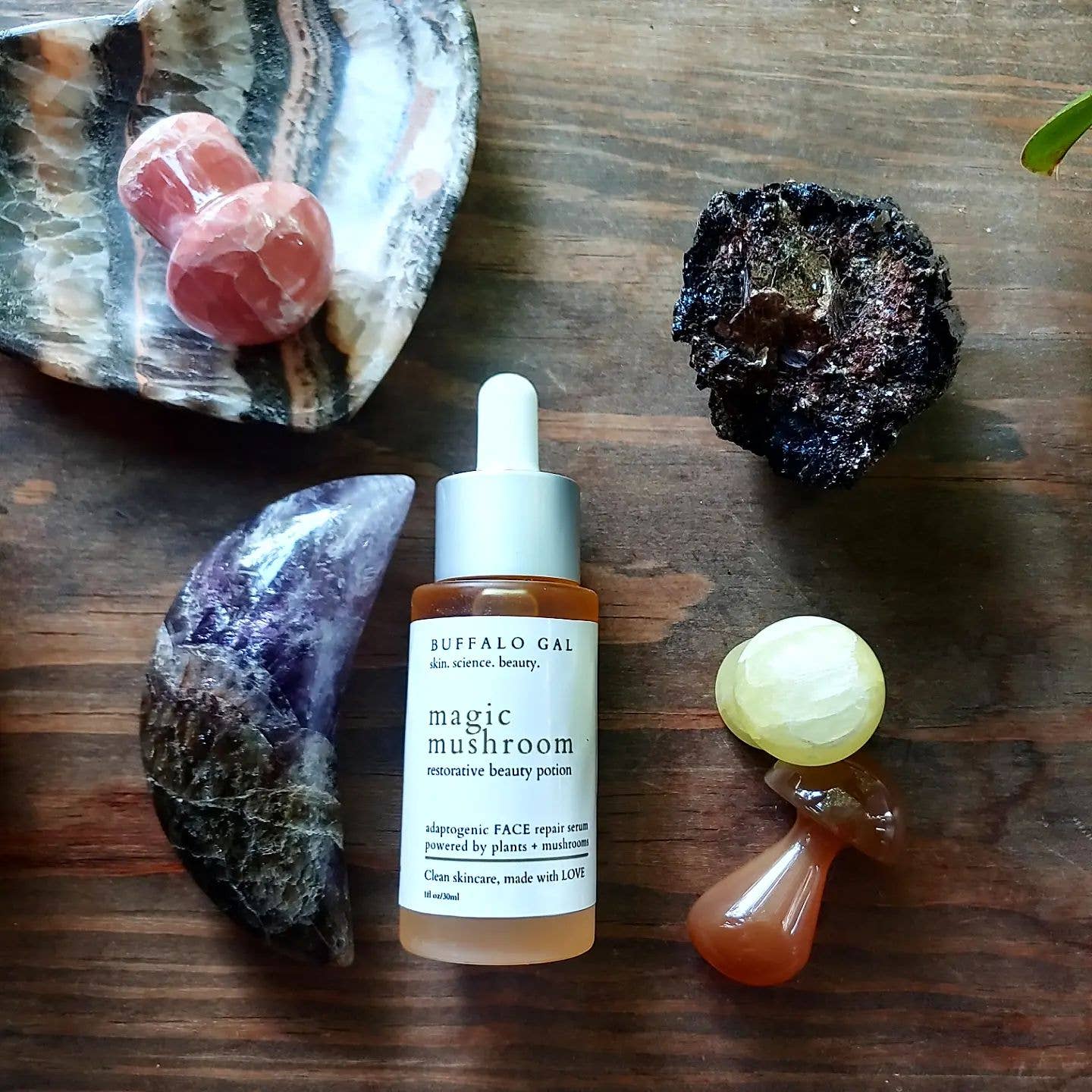 Buffalo Gal - Magic Mushroom Reparative Beauty Potion Serum: Back bar 4 oz
