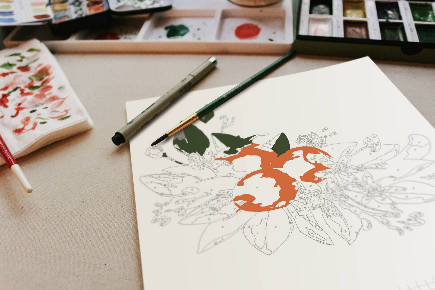 Cate Paper Co. - Orange Blossoms Paint-By-Numbers kit