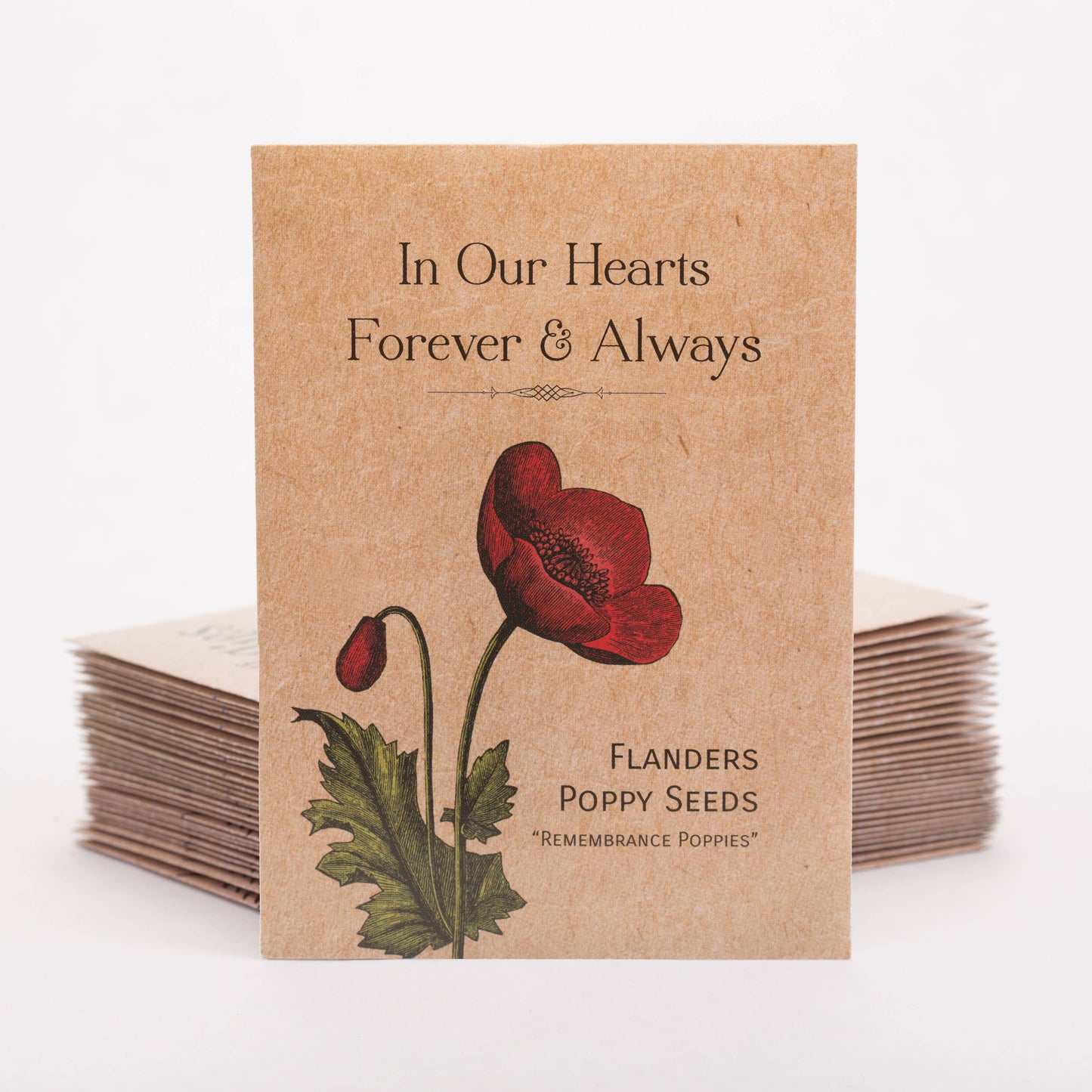 Bentley Seed Co. - In Our Hearts Remembrance Memorial - Flanders Poppy