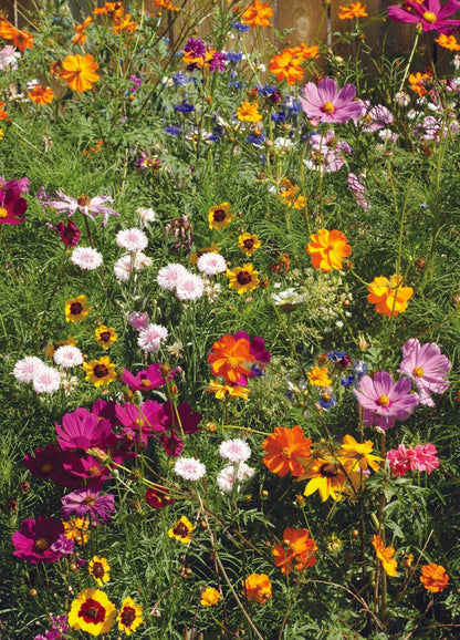 Bentley Seed Co. - With Heartfelt Sympathy - Wildflower Mix Seed Packets