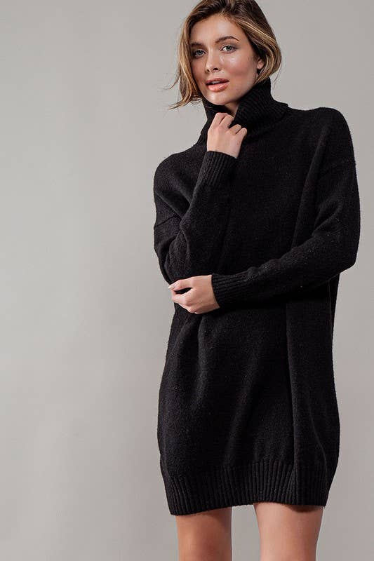 THICK TURTLENECK LOOSE FIT KNIT SWEATER DRESS