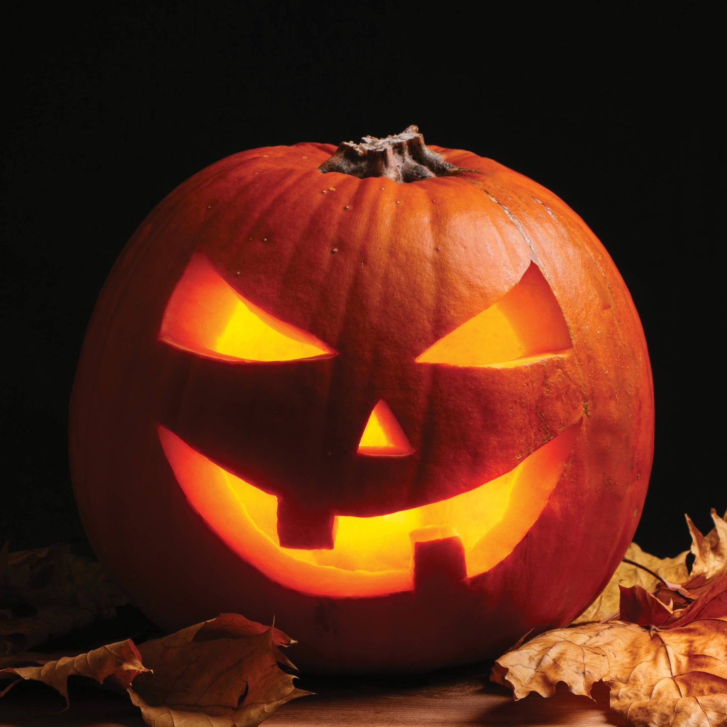 Bentley Seed Co. - Happy Halloween Jack O'Lantern - Spookie Pumpkin Seed Packet