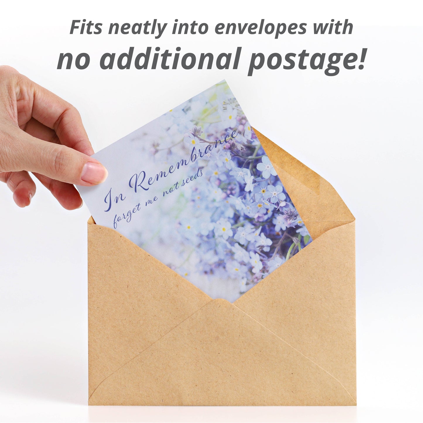 Bentley Seed Co. - In Remembrance Love Left Behind Forget Me Not Seed Packets