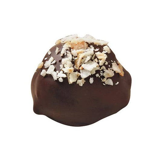 Harbor Sweets - Gather Chocolates 45 individual pc. bulk Coconut Cluster