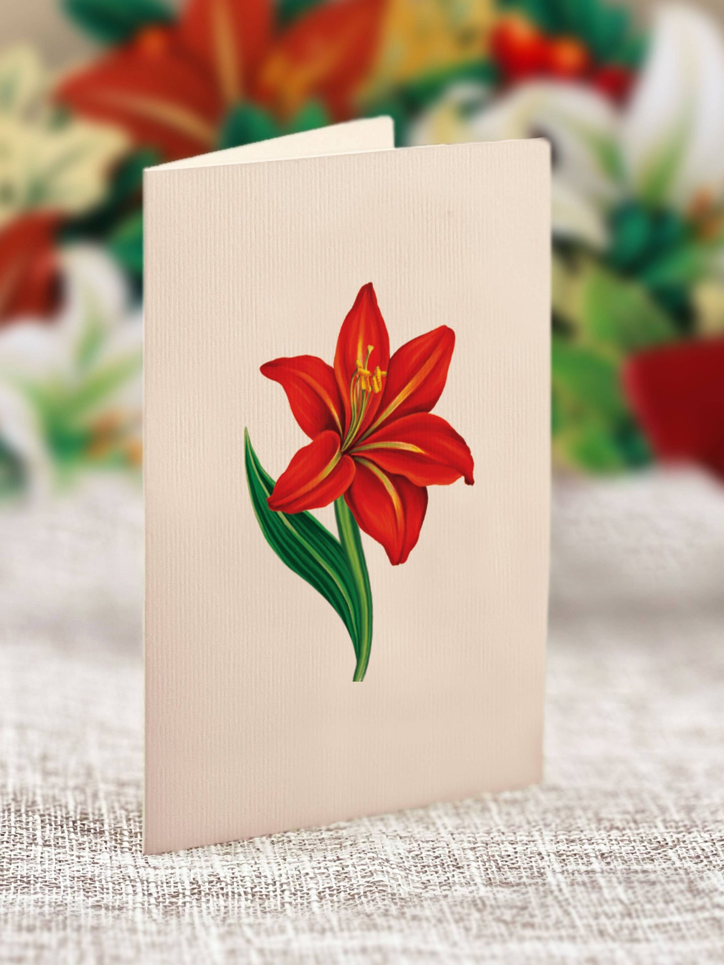 FreshCut Paper LLC - Mini Winter Joy Wreath (10 Pop-up Greeting Cards)
