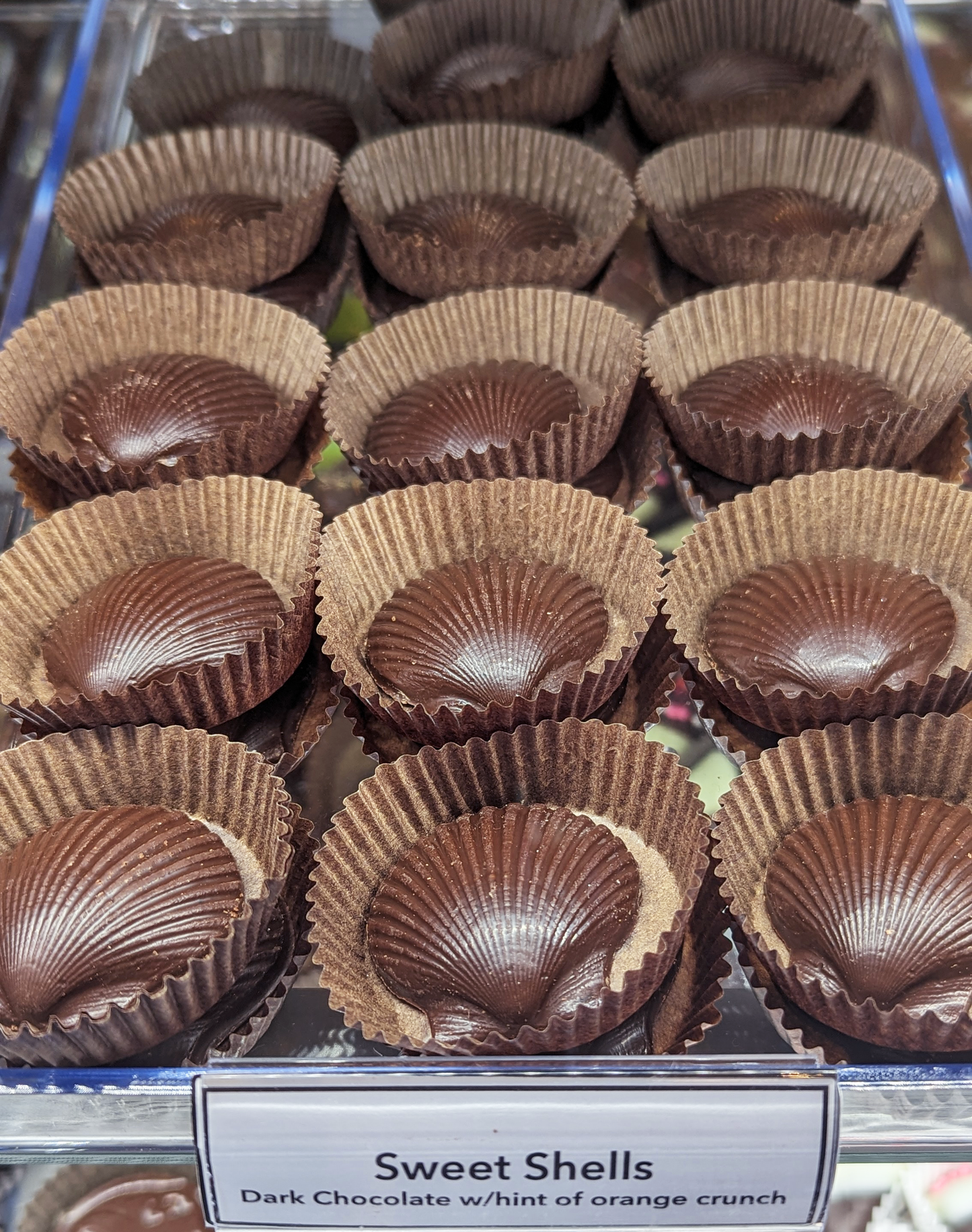 Harbor Sweets - Harbor Sweets Chocolates Sweet Shells Bulk Box 80 pcs foiled