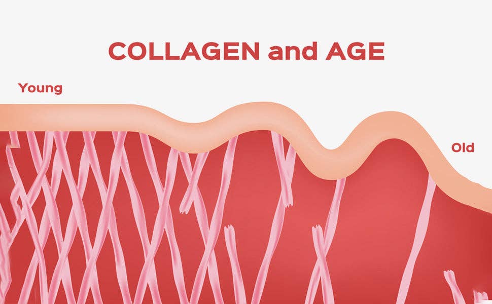 Hearthy Foods - Collagen+ with Hydrolyzed Collagen Powder - Biotin - Hyaluronic Acid & Vitamin C