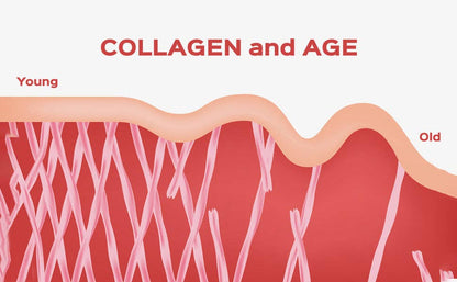 Hearthy Foods - Collagen+ with Hydrolyzed Collagen Powder - Biotin - Hyaluronic Acid & Vitamin C