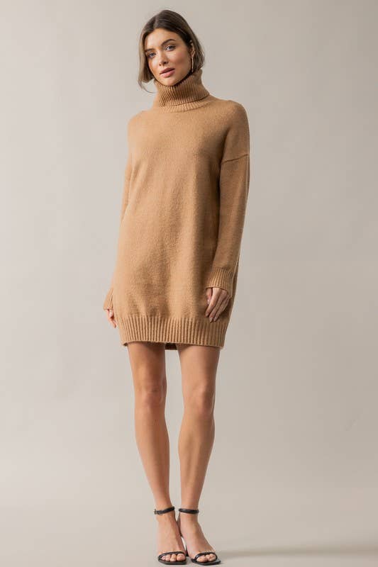 THICK TURTLENECK LOOSE FIT KNIT SWEATER DRESS