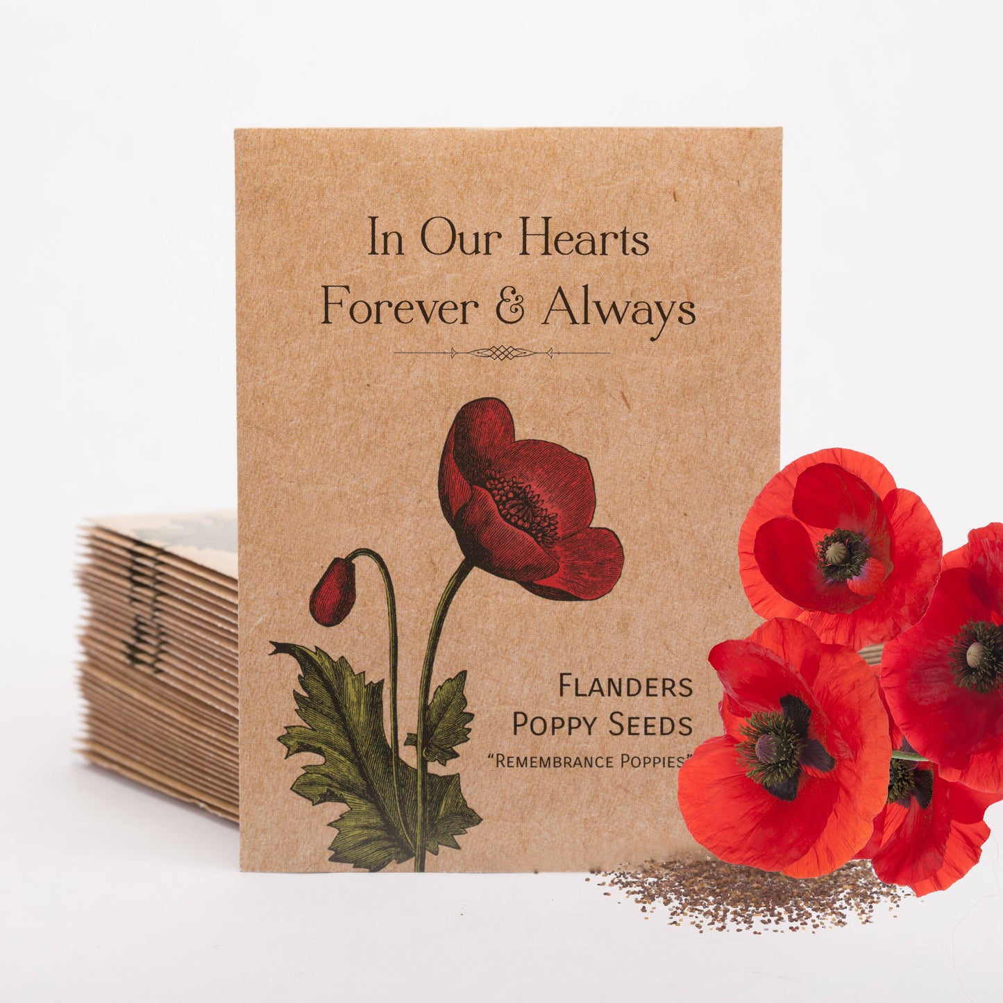 Bentley Seed Co. - In Our Hearts Remembrance Memorial - Flanders Poppy