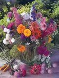 Bentley Seed Co. - Thank You Today Everyday - Pollinator Flower Mix Seed Packet