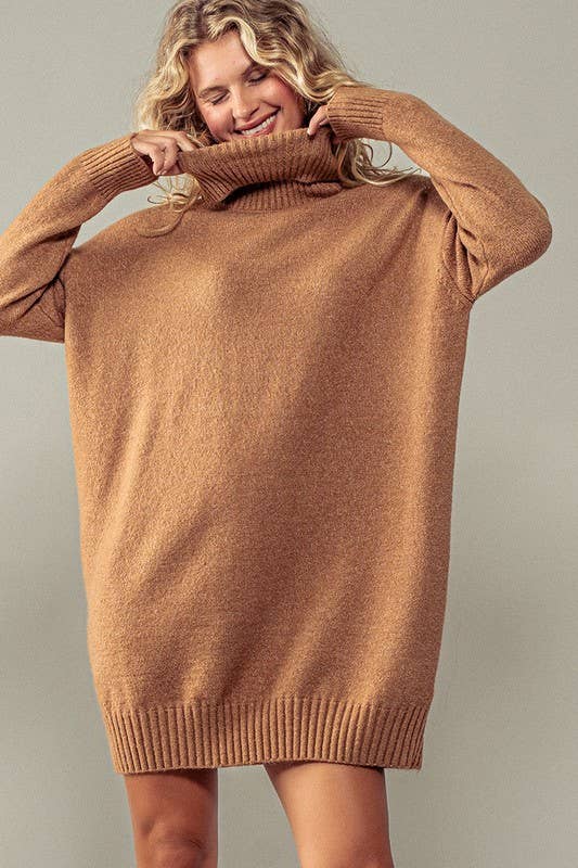 THICK TURTLENECK LOOSE FIT KNIT SWEATER DRESS