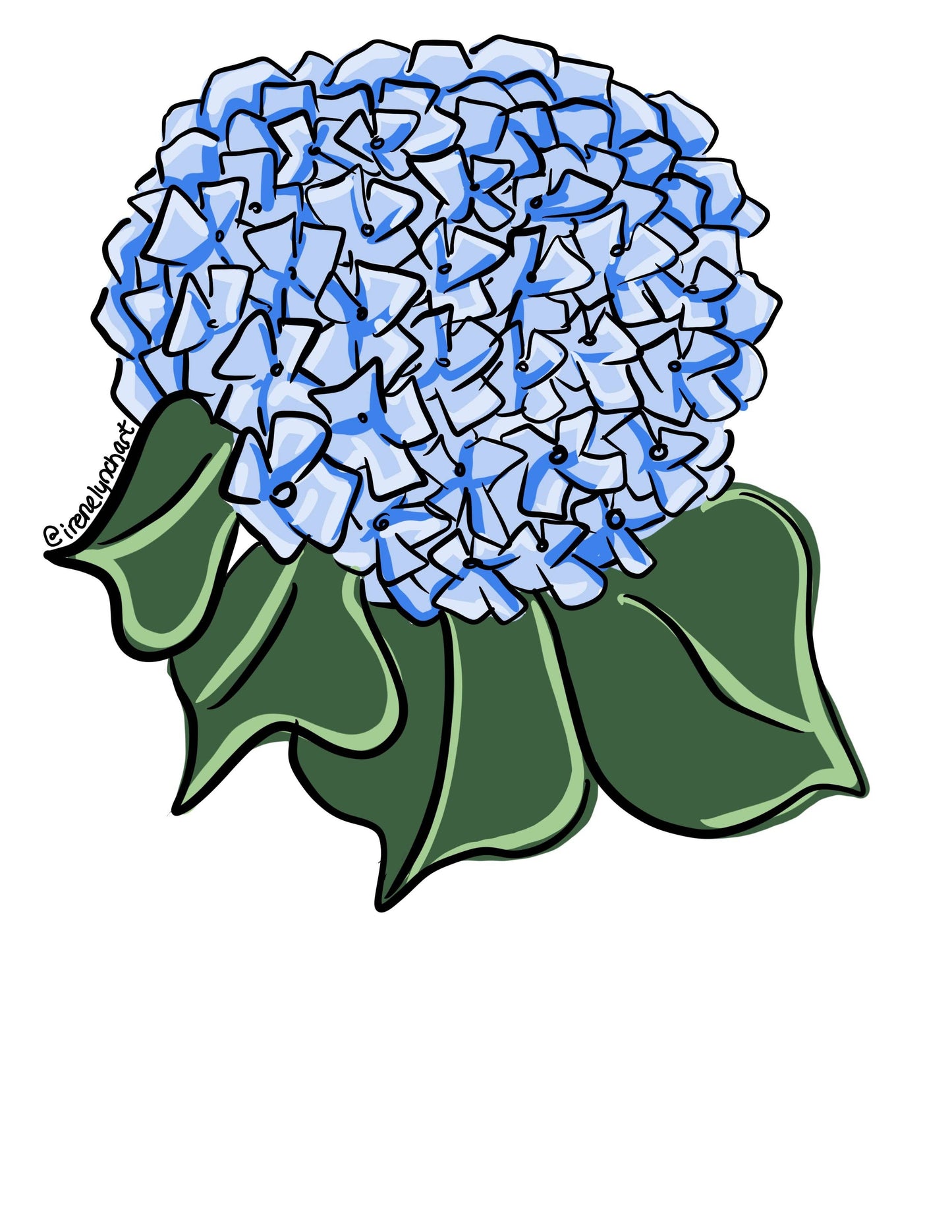 Irene Lynch Art - Hydrangea Sticker