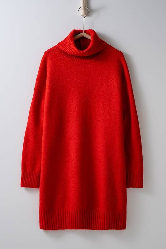 THICK TURTLENECK LOOSE FIT KNIT SWEATER DRESS