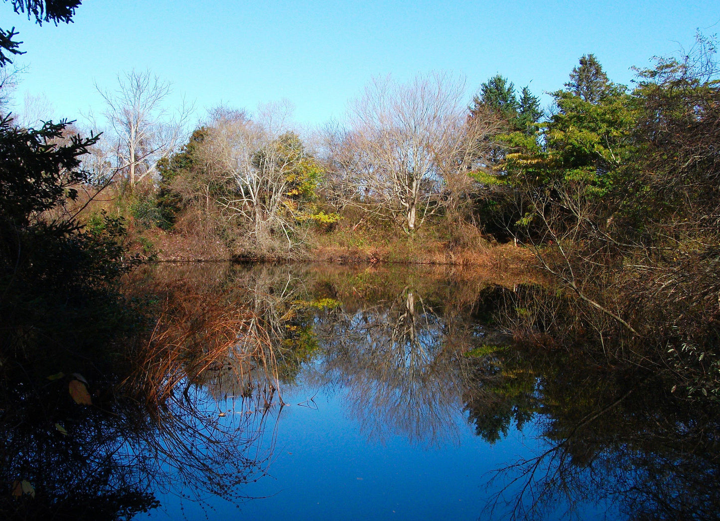 Schiffer Publishing - In My Footsteps: A Cape Cod Traveler's Guide 2