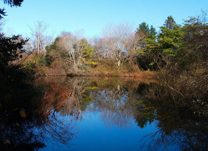 Schiffer Publishing - In My Footsteps: A Cape Cod Traveler's Guide 2