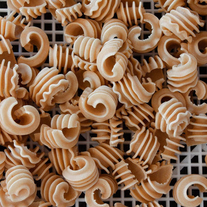 Trenchers Farmhouse - Radiatori - Fresh Pasta