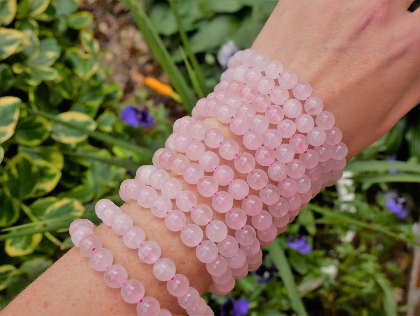 The Healing Sanctuary - Rose Quartz Beaded Bracelet 8mm