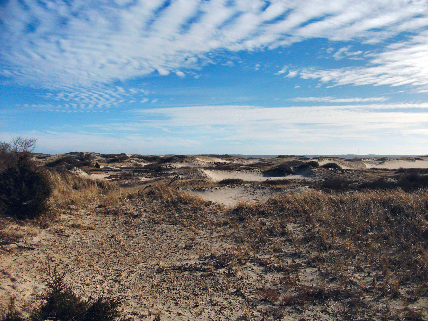 Schiffer Publishing - In My Footsteps: A Cape Cod Traveler's Guide 2