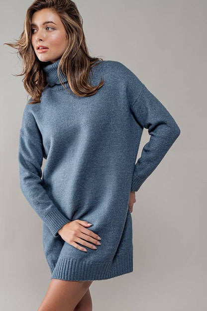 THICK TURTLENECK LOOSE FIT KNIT SWEATER DRESS