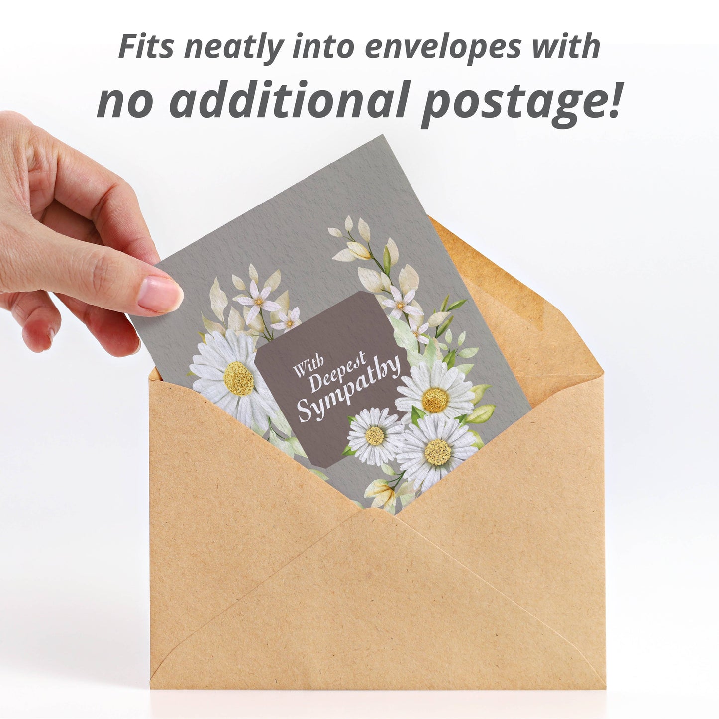 Bentley Seed Co. - With Deepest Sympathy - Shasta Daisy Seed Packets
