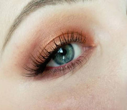 Honeybee Gardens Natural Cosmetics & Body Care - 'Nude Renaissance' Refillable Eye Shadow Palette