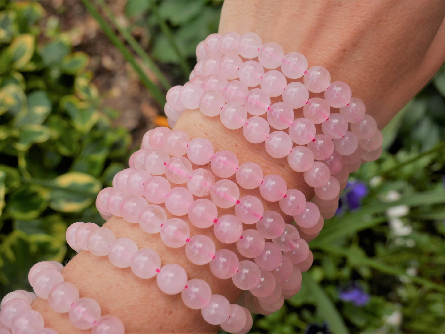 The Healing Sanctuary - Rose Quartz Beaded Bracelet 8mm