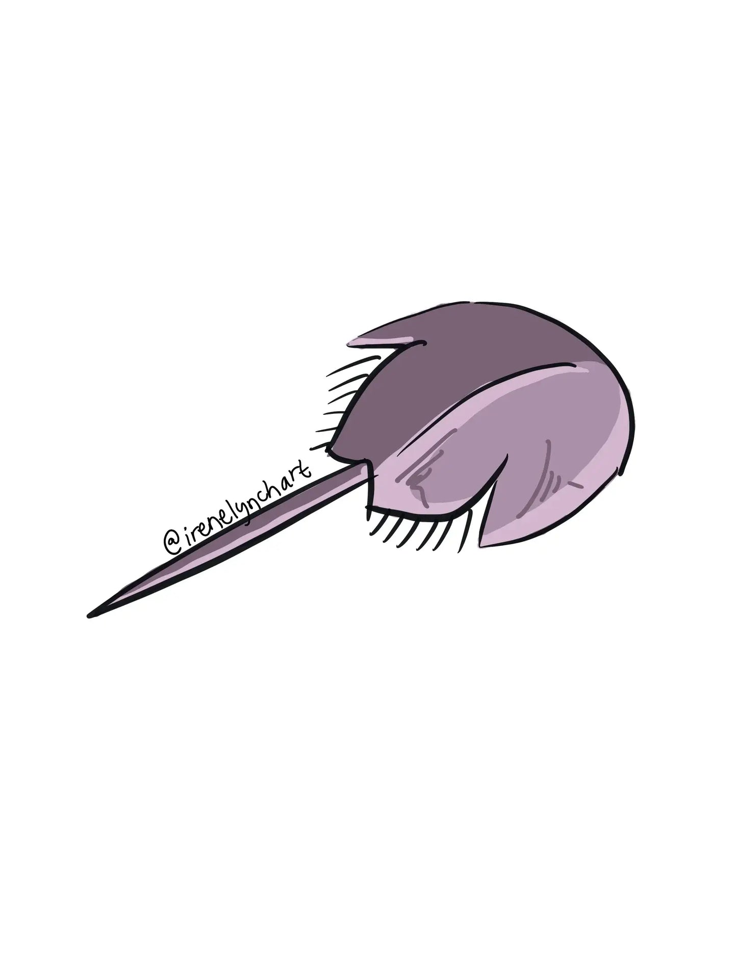 Irene Lynch Art - Horseshoe Crab Sticker | Coastal Vinyl Decal