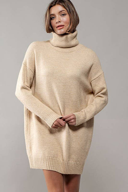 THICK TURTLENECK LOOSE FIT KNIT SWEATER DRESS