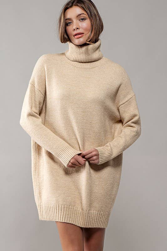 THICK TURTLENECK LOOSE FIT KNIT SWEATER DRESS