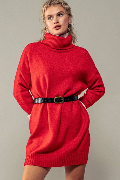 THICK TURTLENECK LOOSE FIT KNIT SWEATER DRESS